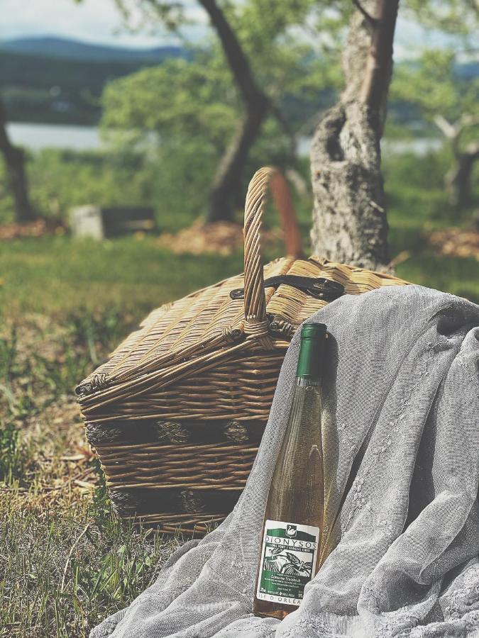 Domaine Steinbach Cidrerie B&B Distillerie St-Pierre-de-l'Île-d'Orléans 외부 사진